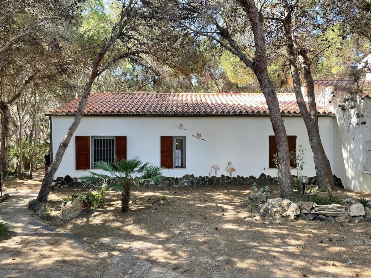 Porto Pineto Villa Indipendente 100 Mt Dal Mare Iunp7395 Porto Pino Exterior foto